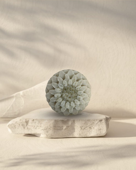 Organic Sidr Leaf Shampoo + Body Bar